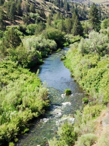 The South Fork of the John Day River along the South Fork Road.